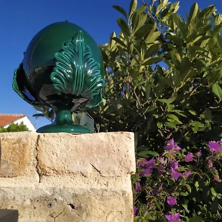 Melania 포사세시아