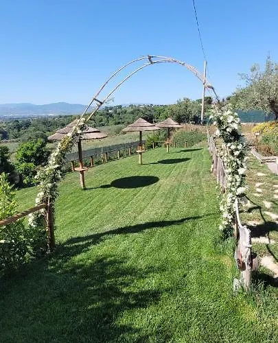 Melania 4* فوساتشيزيا