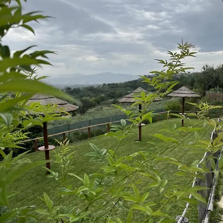 Melania Nocleg ze śniadaniem 4*