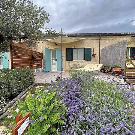 Melania Bed & Breakfast Fossacesia